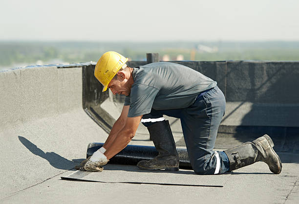 Best Insulation Installation Services in Lemoyne, PA